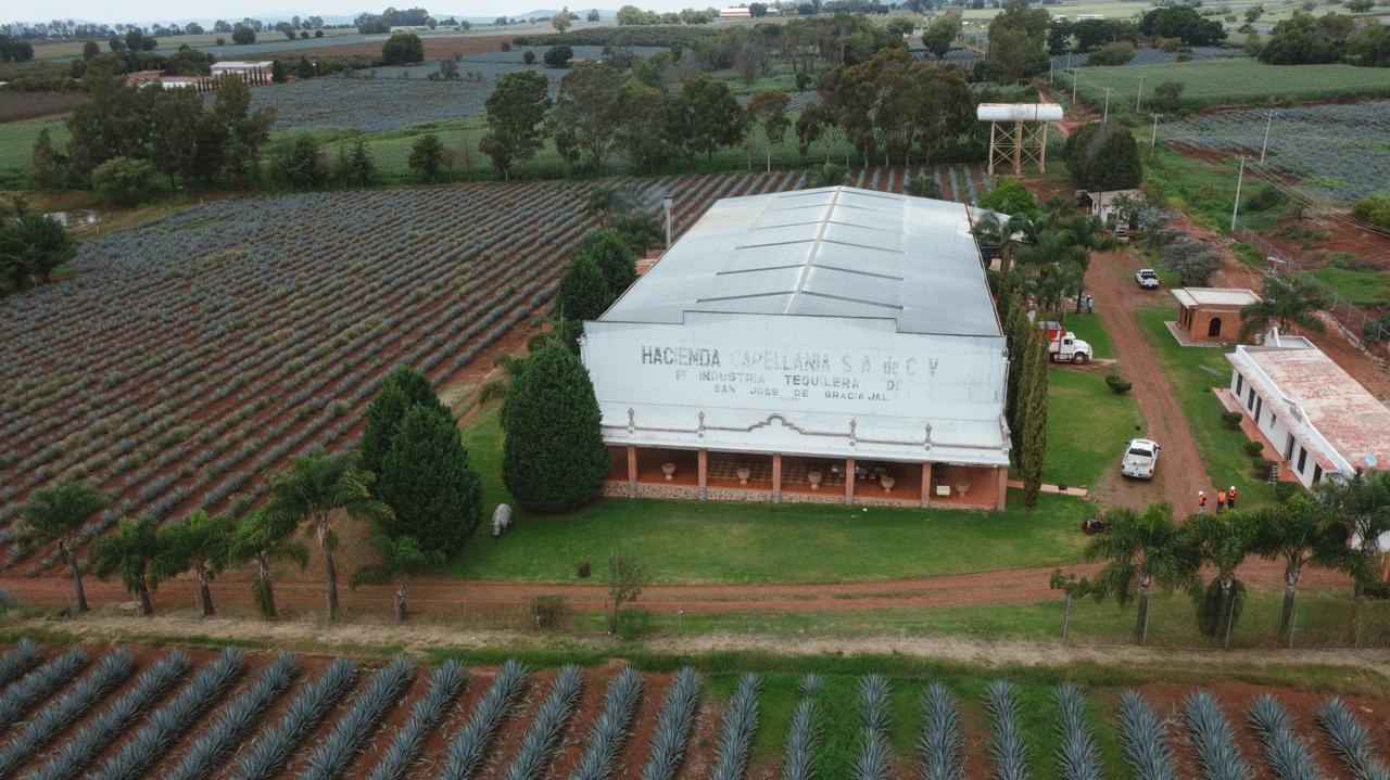 Hacienda Capellanía — maturation facility