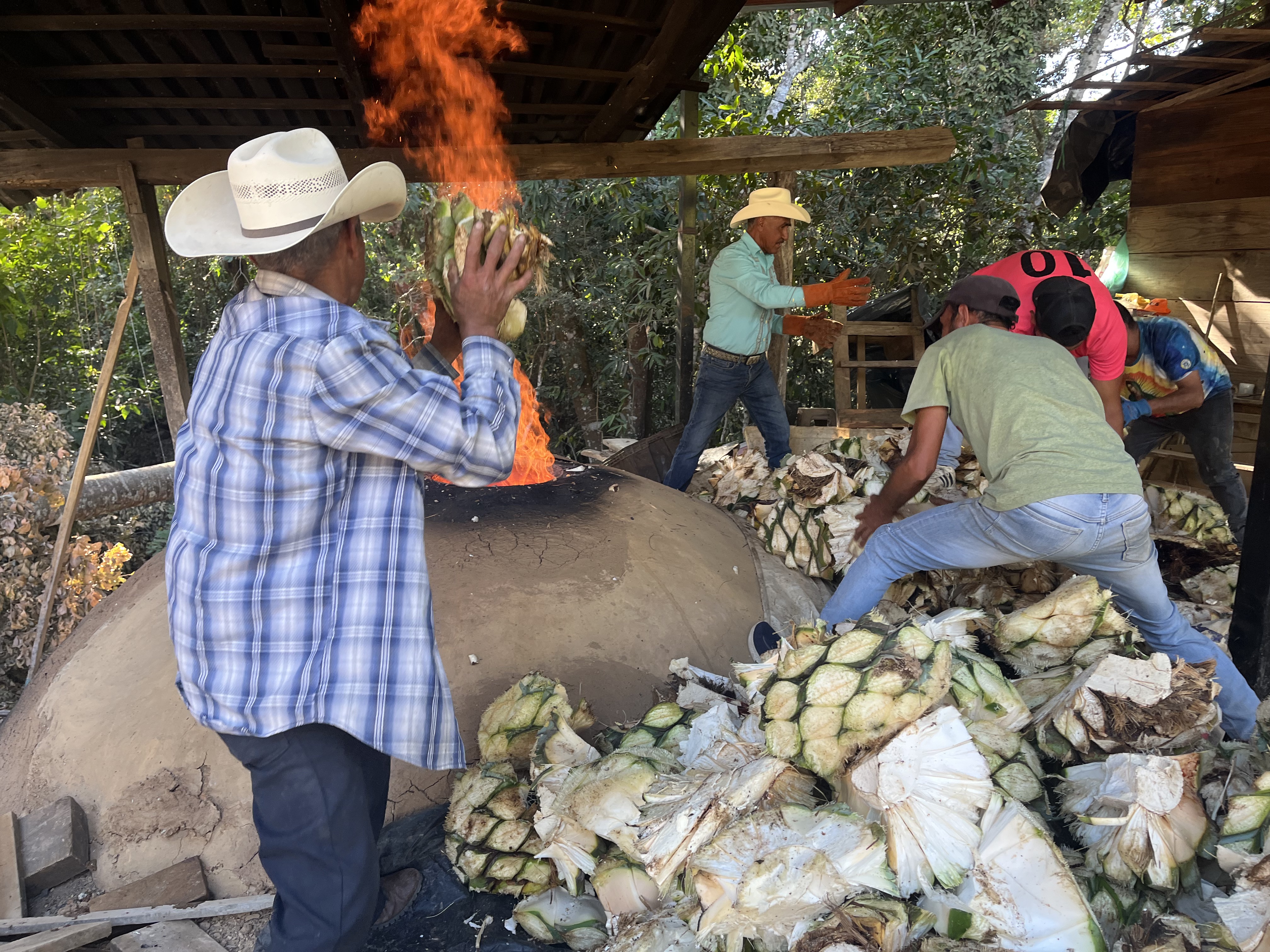 Cocción — Cooking