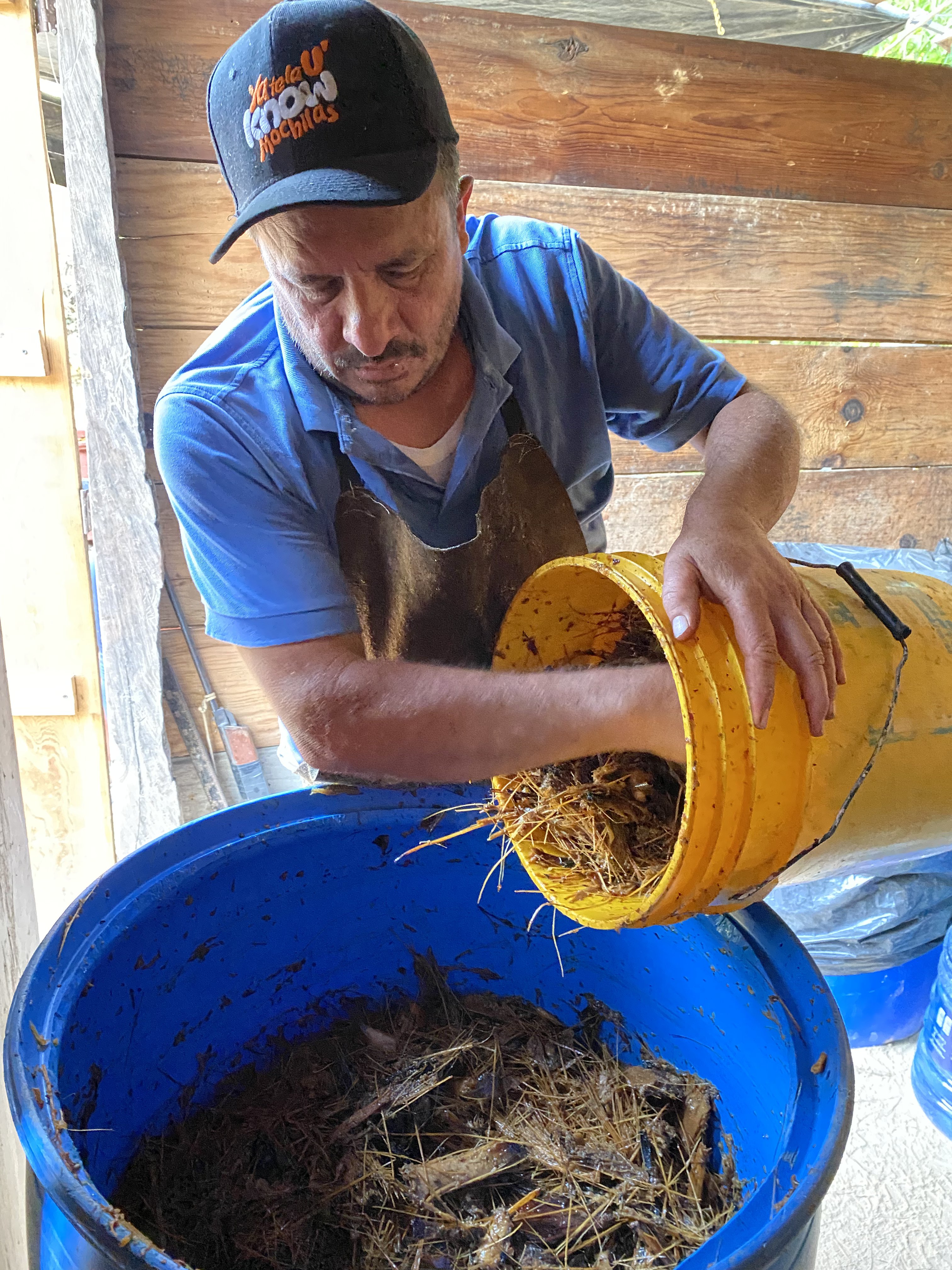 Fermentación — Fermentation