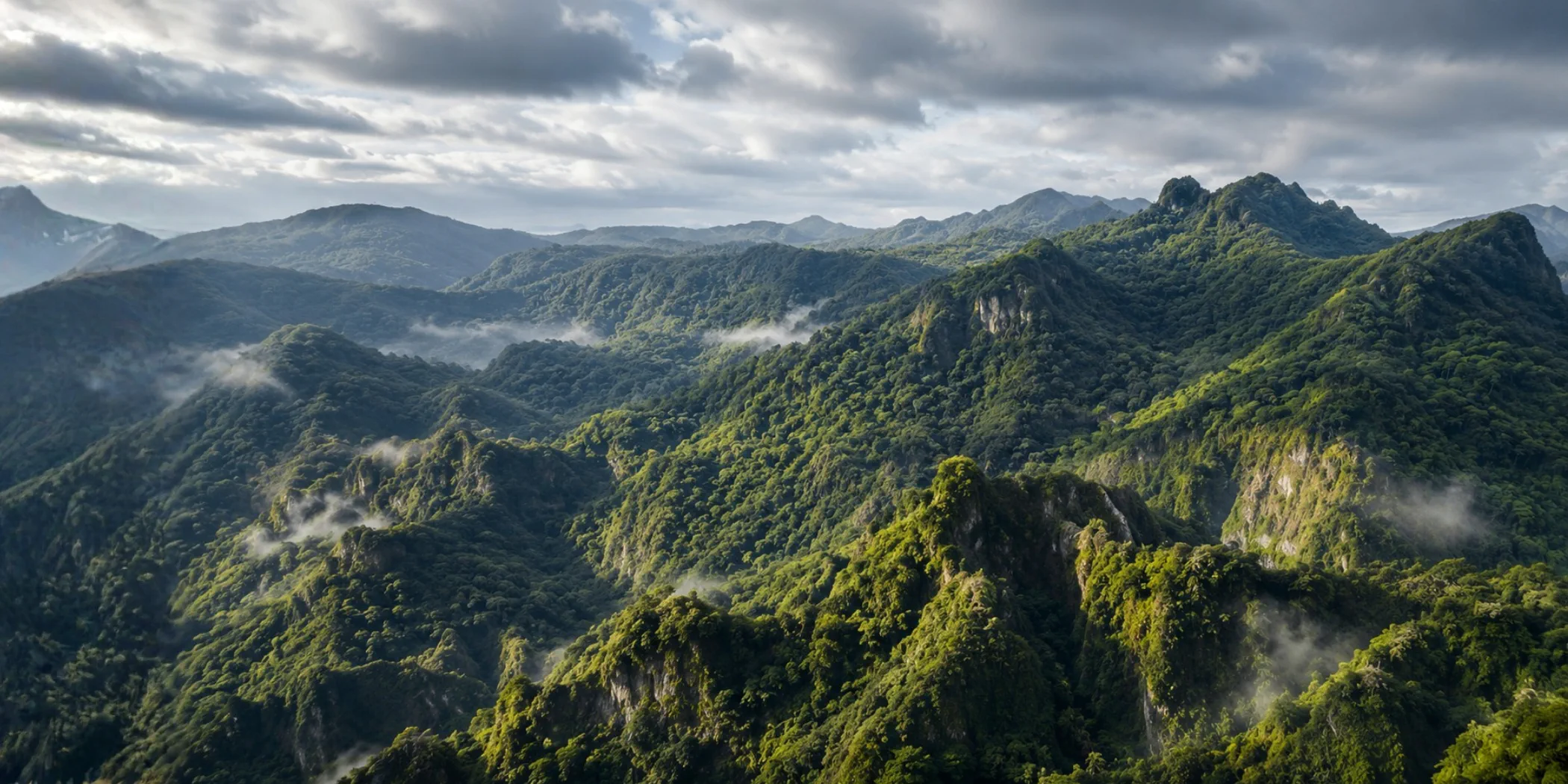 The western Sierra Madre Occidental above San Sebasti&aacute;n del Oeste, cloud forest and mist