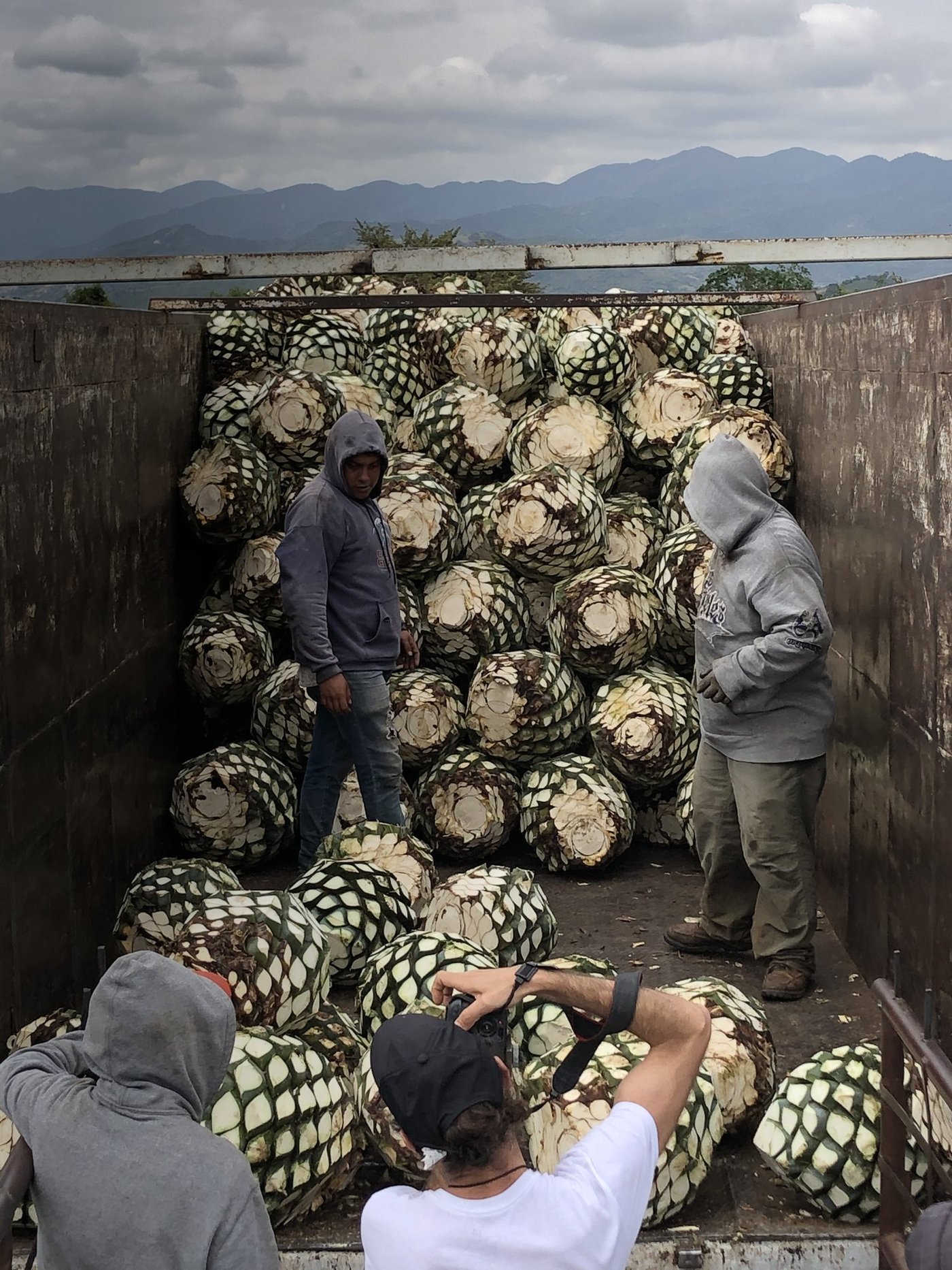 Siete Machos gallery