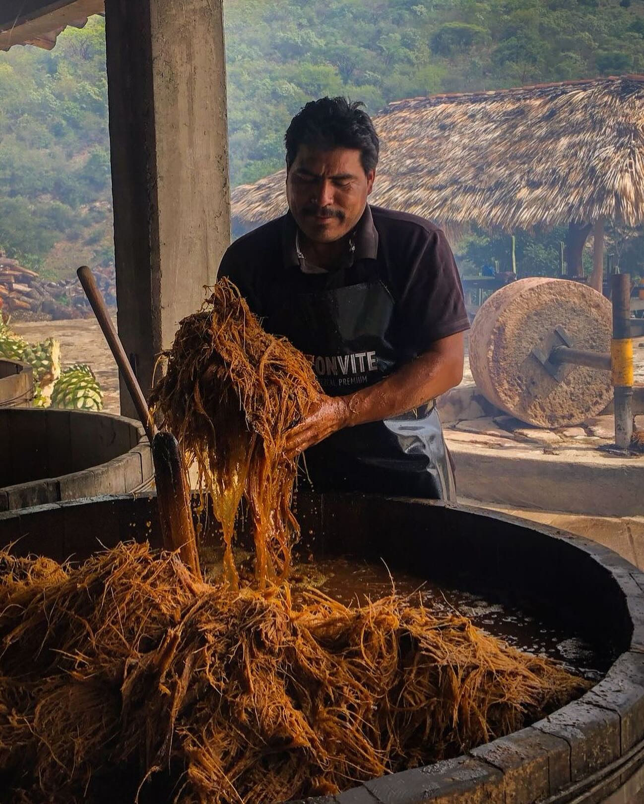 Fermentation in wooden vats