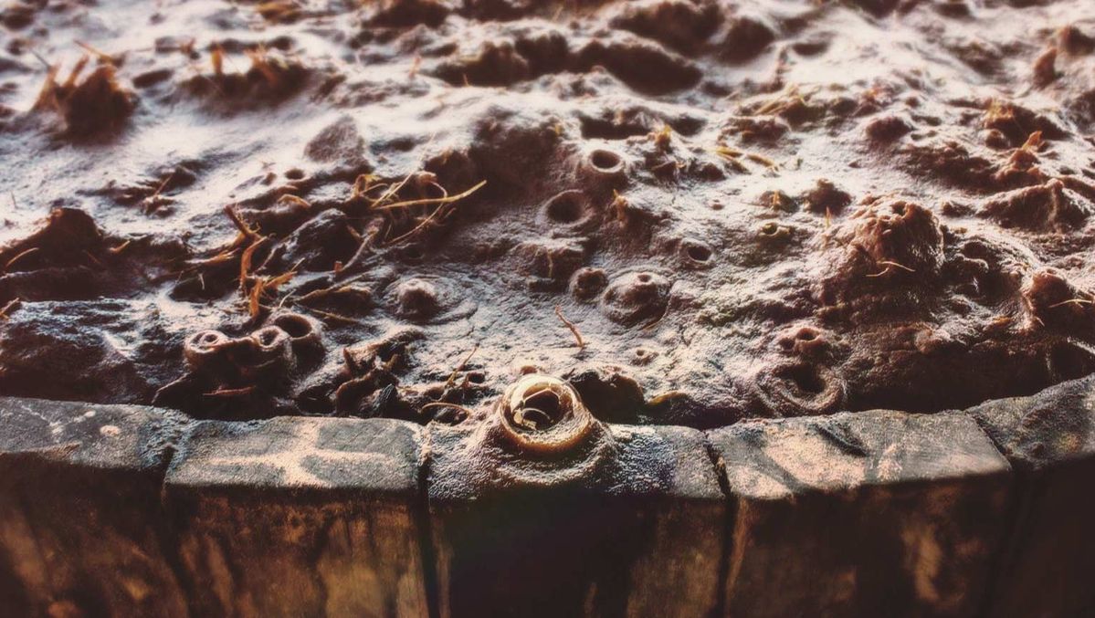 Fermentation process